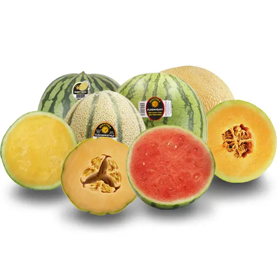 Our Fruit Melons Square 2